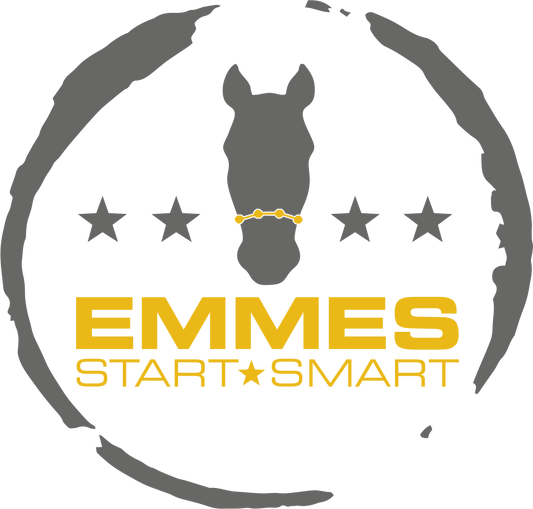 Emmes start smart online heste træning kursus. Mini kurser med video. hestetræning groundwork fra Emmes Original Tack
